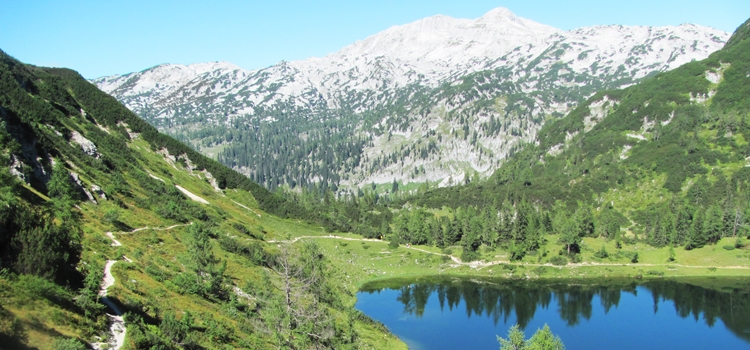Ecuador: Ecuador ha perdido más de la mitad de su cobertura glaciar (El Comercio)